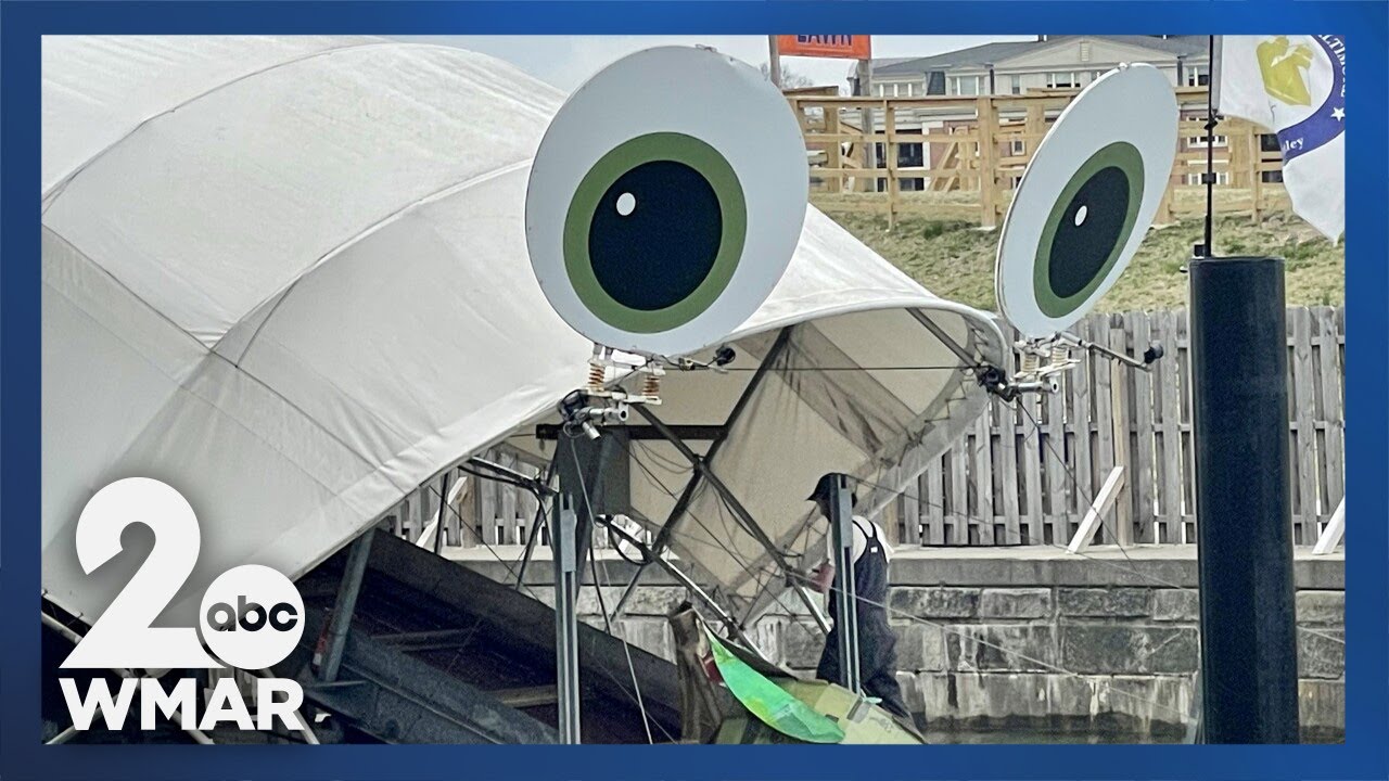 Десятилетие мистера Trash Wheel