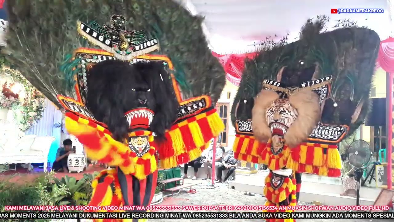 DADAK MERAK SINGO WIJOYO BINTANG TAMU TOMBOLK AHLI PAJAT TALI  LIVE REYOK SINGO WIJOYO DI SEDORO RT