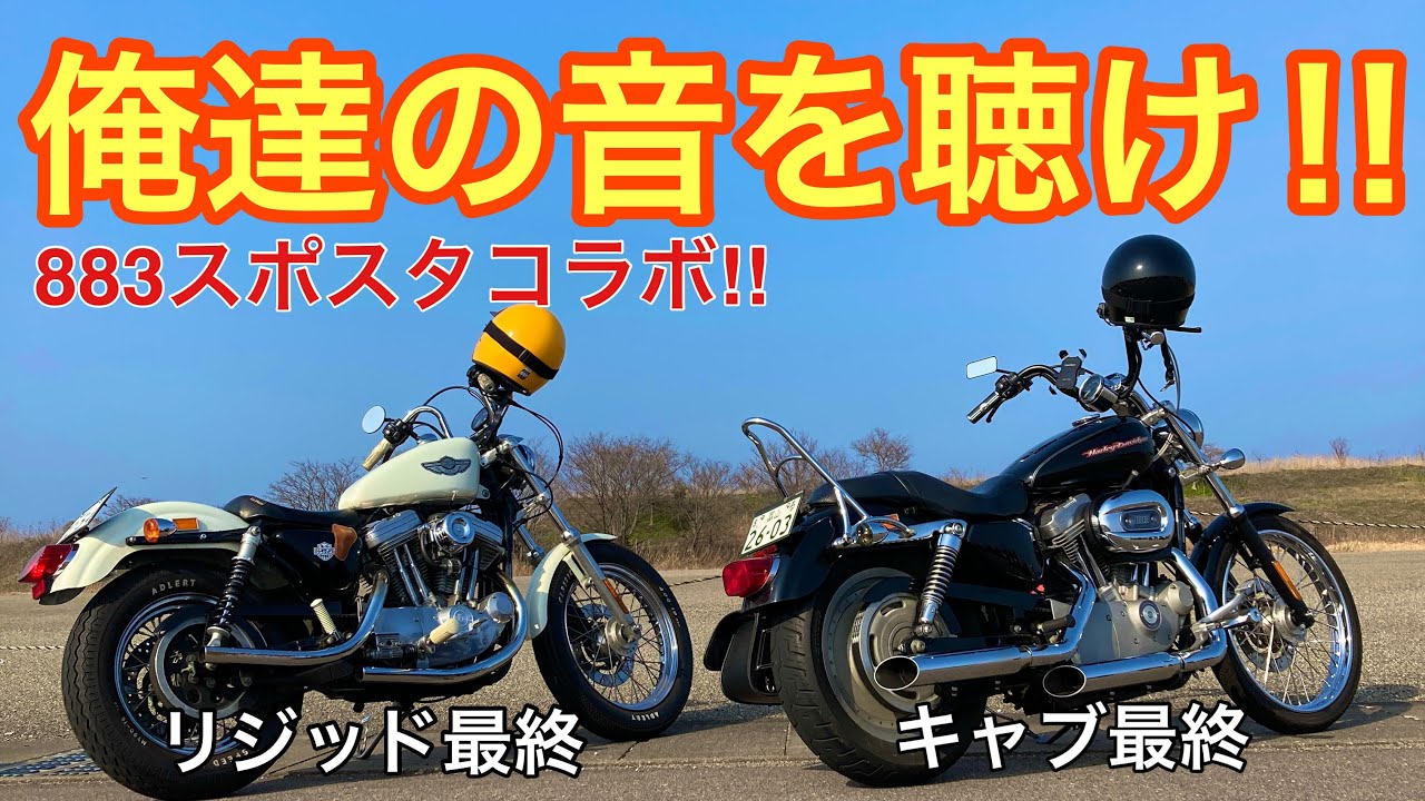 【リジスポ&ラバスポ】883のパパさんとコラボしてきた‼︎【XLH883×XL883C】
