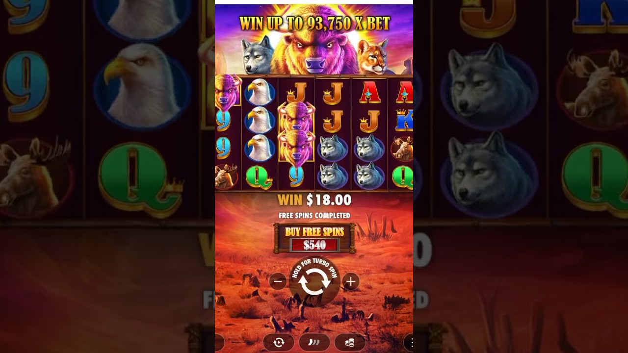 CRAZY BONUS ON BUFFALO KING #pragmaticplayslot #bonus #win