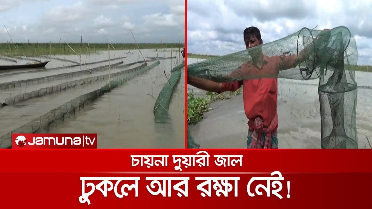 মাছ শিকারের ভয়ঙ্কর হাতিয়ার 'চায়না দুয়ারী; আটকা পড়লে রক্ষা নেই! | Fishing