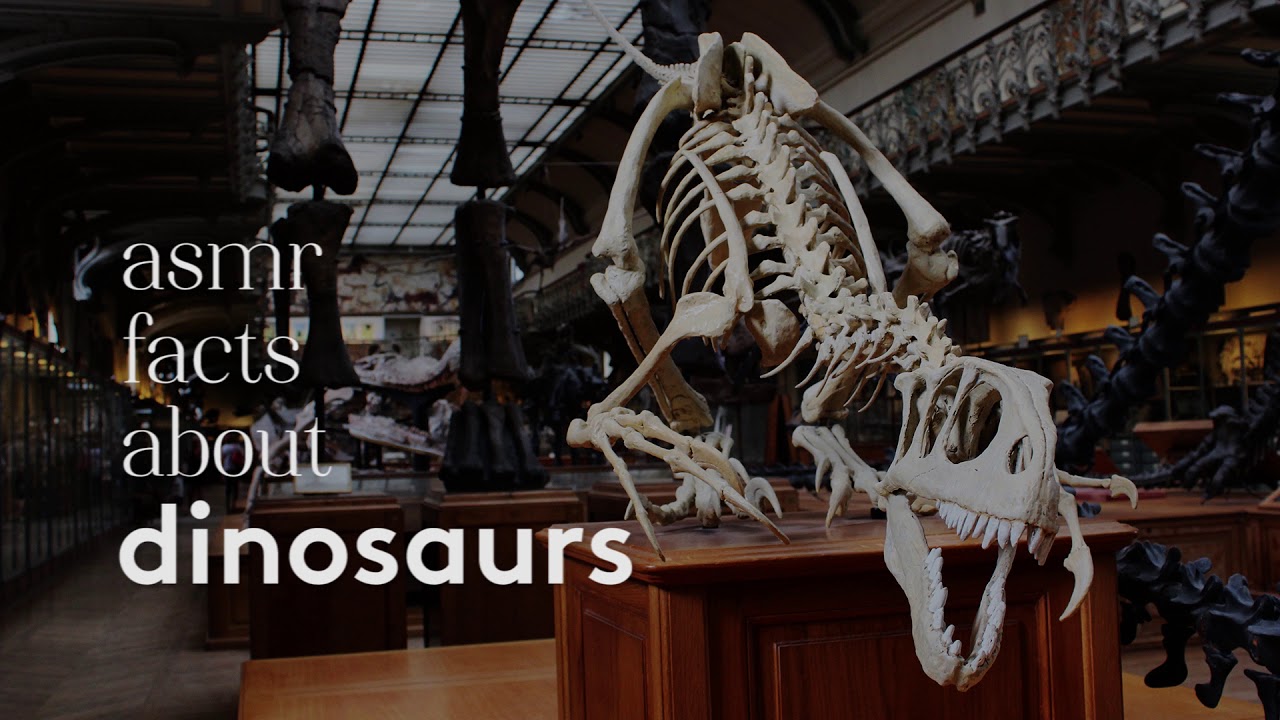 [ASMR] Ear to Ear Whispered Facts about Dinosaurs
