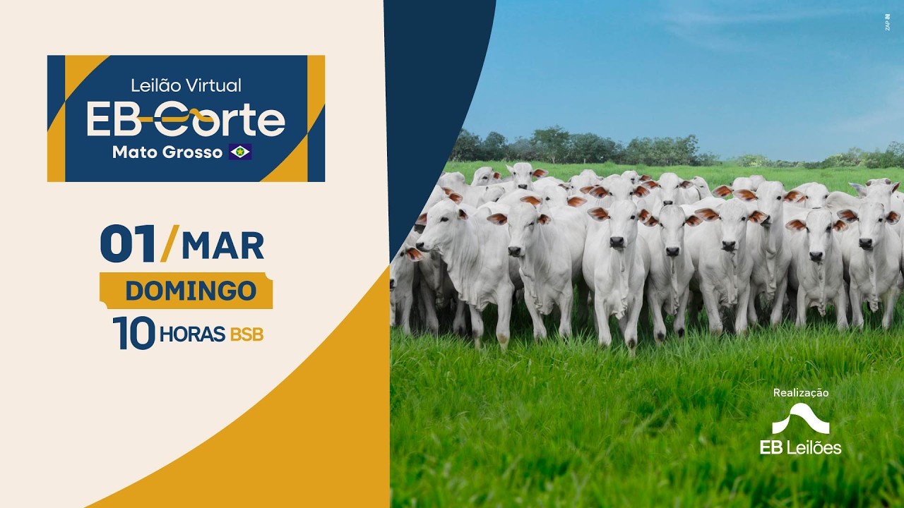 01/03 - LEILÃO VIRTUAL EB CORTE MT