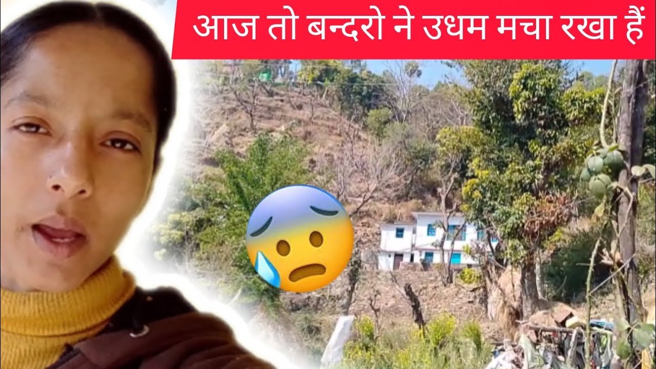 आज तो बन्दरो ने परेशान कर दिया ।। 😰😖#pahadiculture #pahadilanguage #phadilifestyle