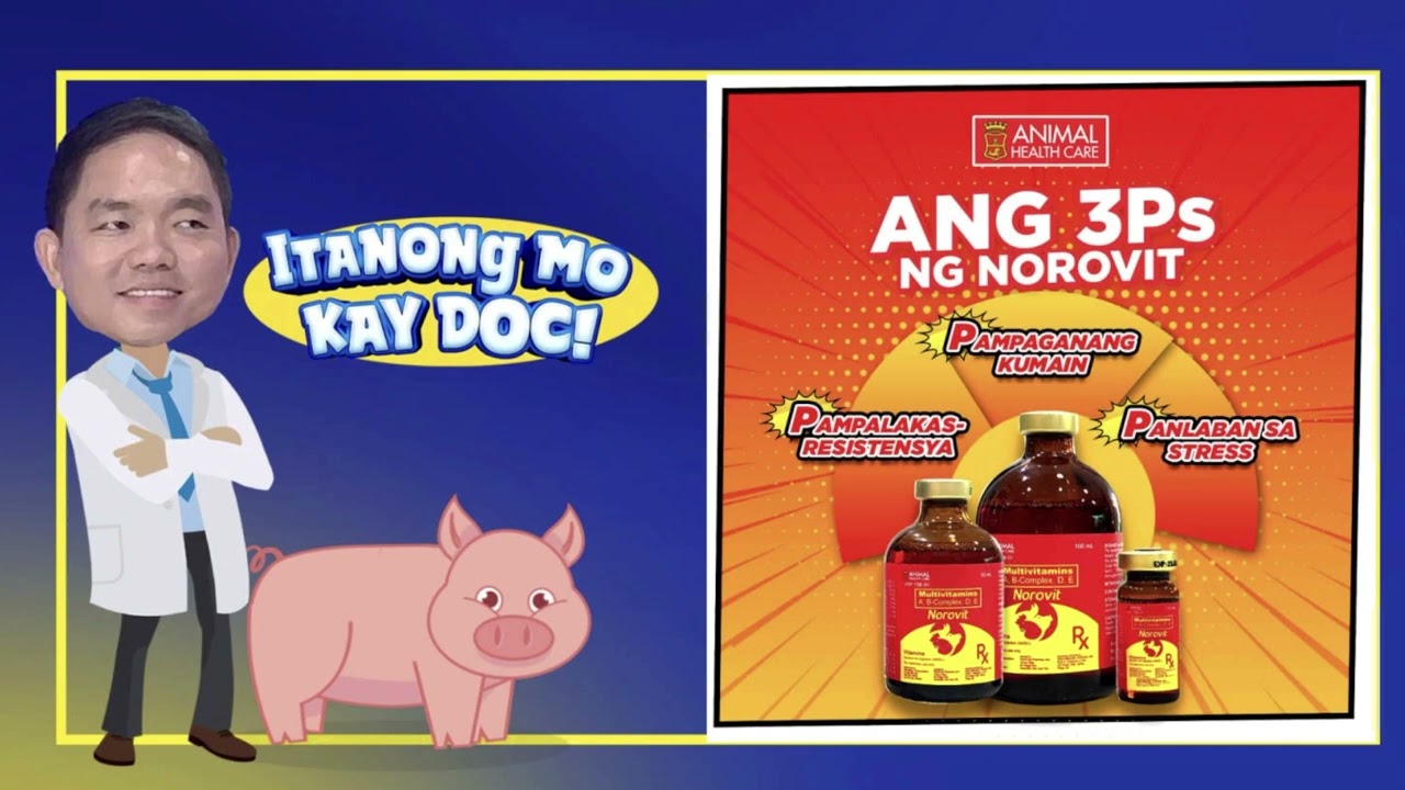 Itanong Mo Kay Doc: February 5