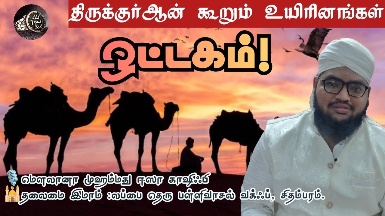 ஒட்டகம் பற்றி அற்புத தகவல்! திருக்குர்ஆன் கூறும் உயிரினங்கள் | மௌலான முஹம்மது ஈஸா காஷிஃபி#tamilbayan