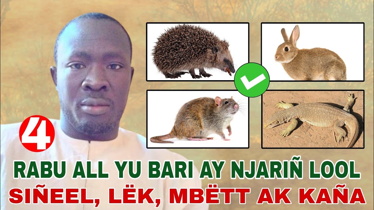 Ay ndiariñ yo xamul woon ci rabi àll yii di « Kagna, Signél, Mbeute ak Leuk. » par S. Mor Asta Touré