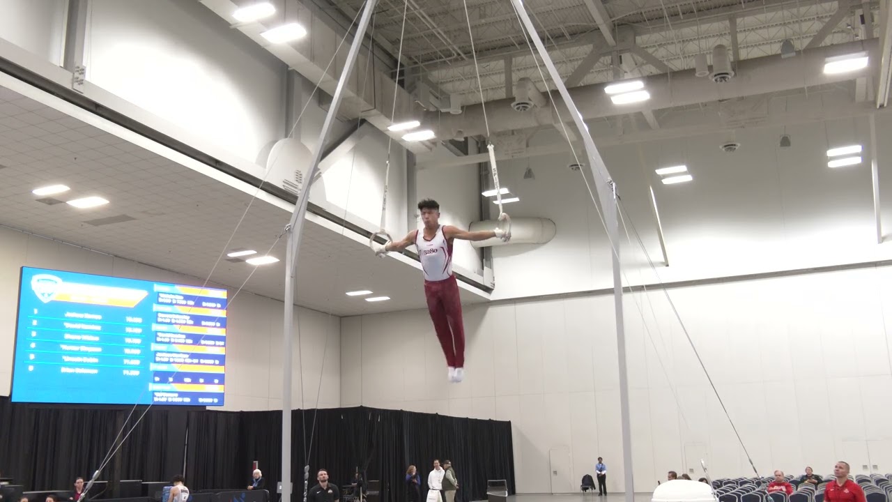 Yul Moldauer | Still Rings | 2026 Winter Cup | Senior Men