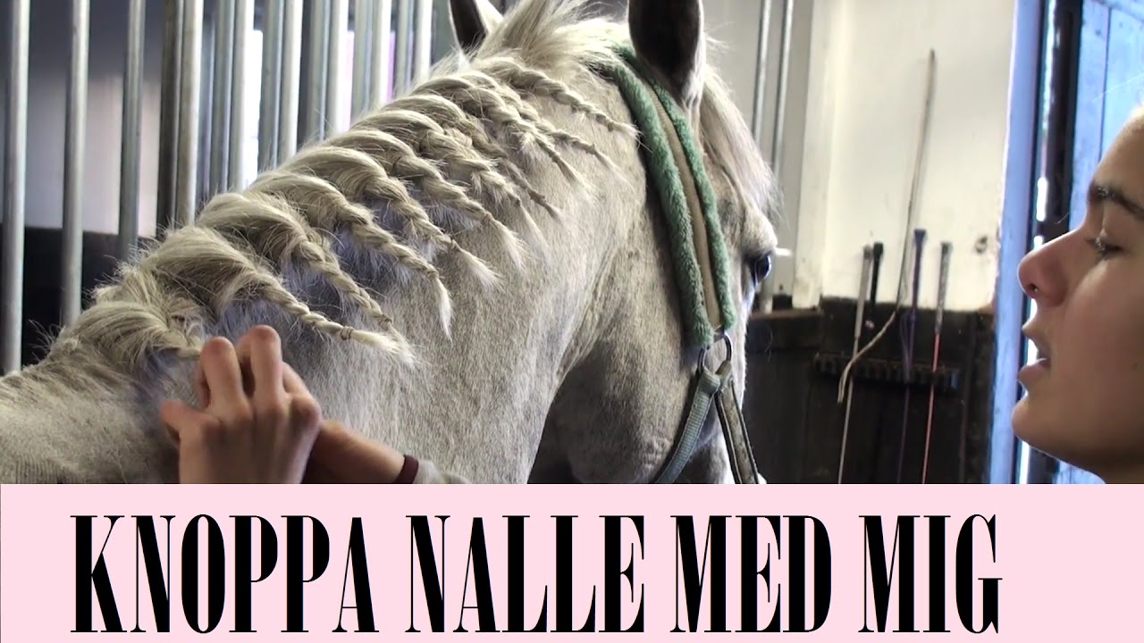 KNOPPA NALLE MED MIG