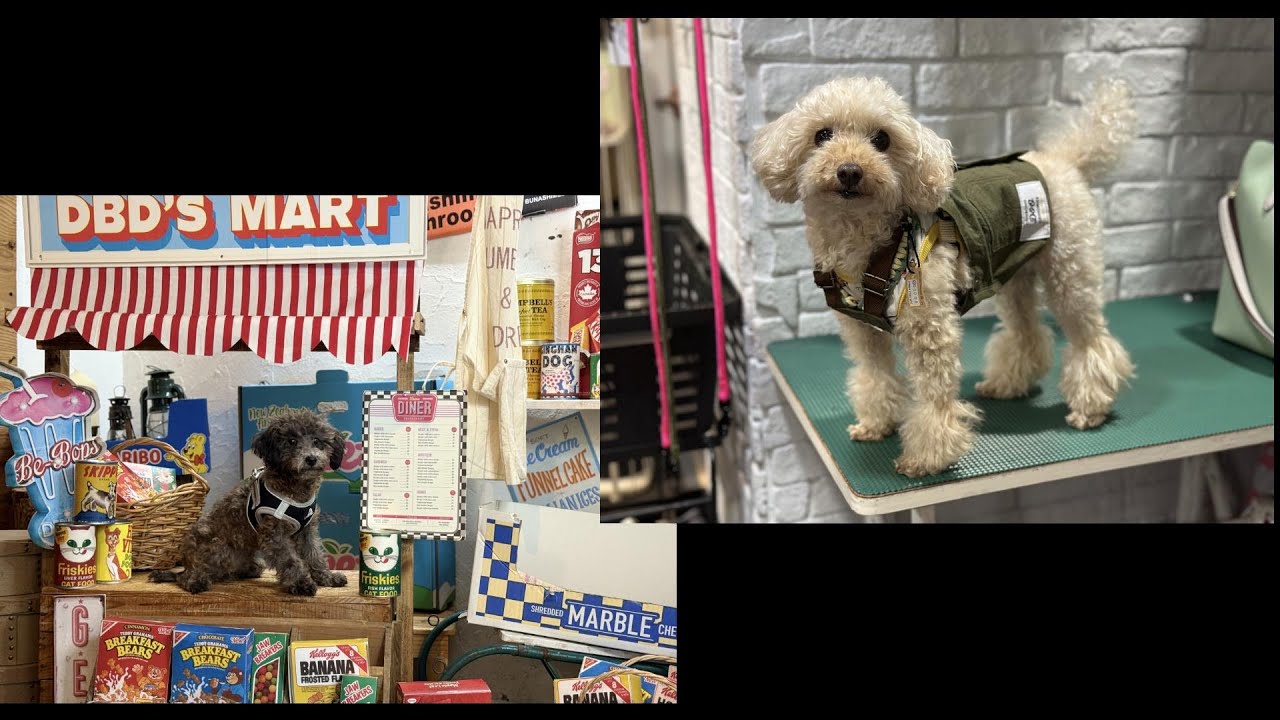 DOGBONDに行ってきた＆NEWサークル 😊