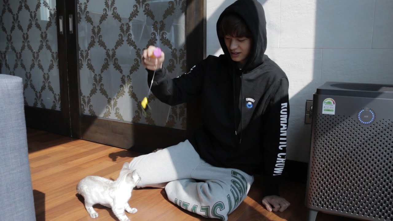 육뎨뎨 탄신일 기념 #3 삼이가 집사랑 놀아주기 ^_^