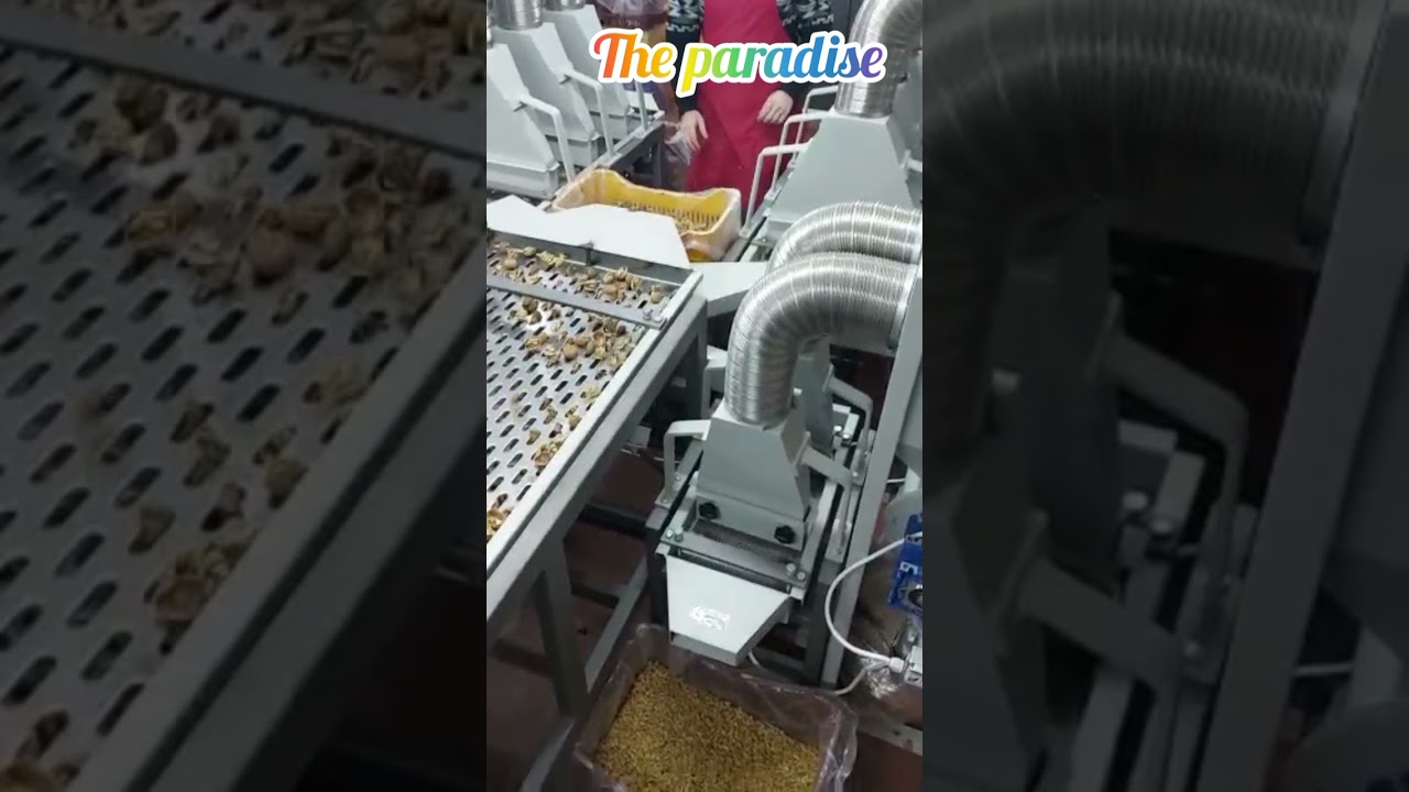 walnut cracker and grading unit.