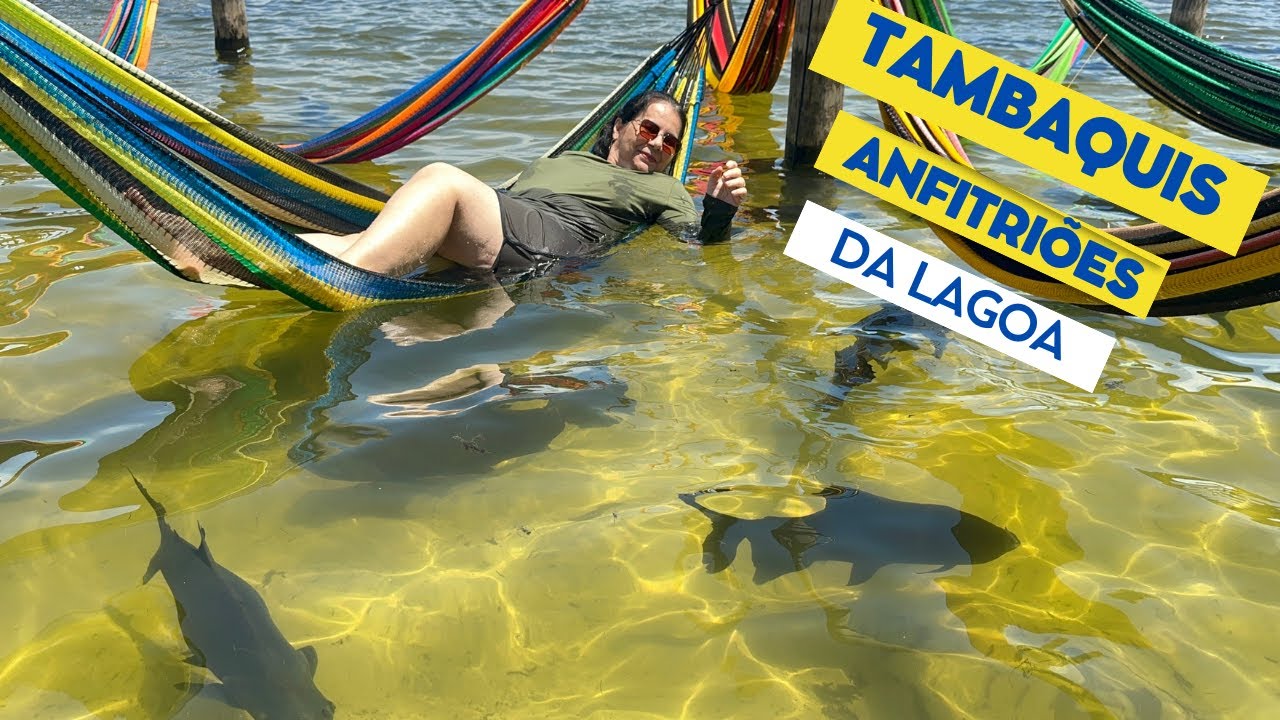Lago dos Tambaquis, Tambaqui morde ?