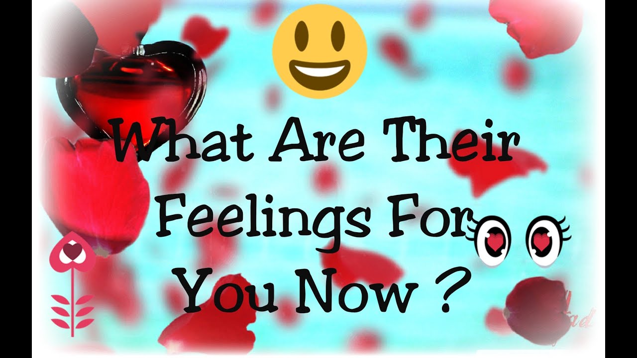 WHAT ARE THEY FEELING ? 🤫😄☀🌹🍎🍫#pickacardreading #lovereading