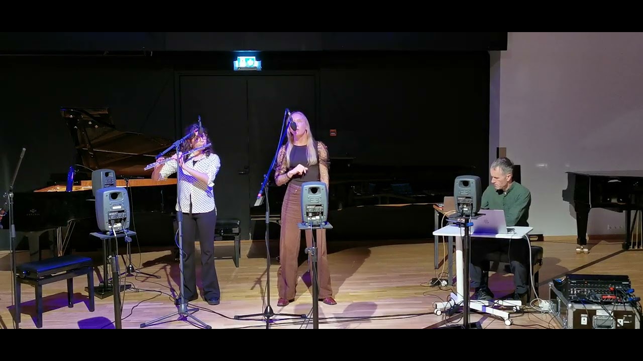 Maria Paiste, Maria Laura Lizzi & Alistair MacDonald in Chamber hall, 7.11.2025 
