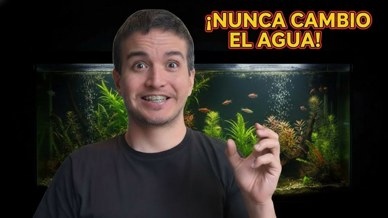 ¿Cambiar el agua puede matar a tus peces?