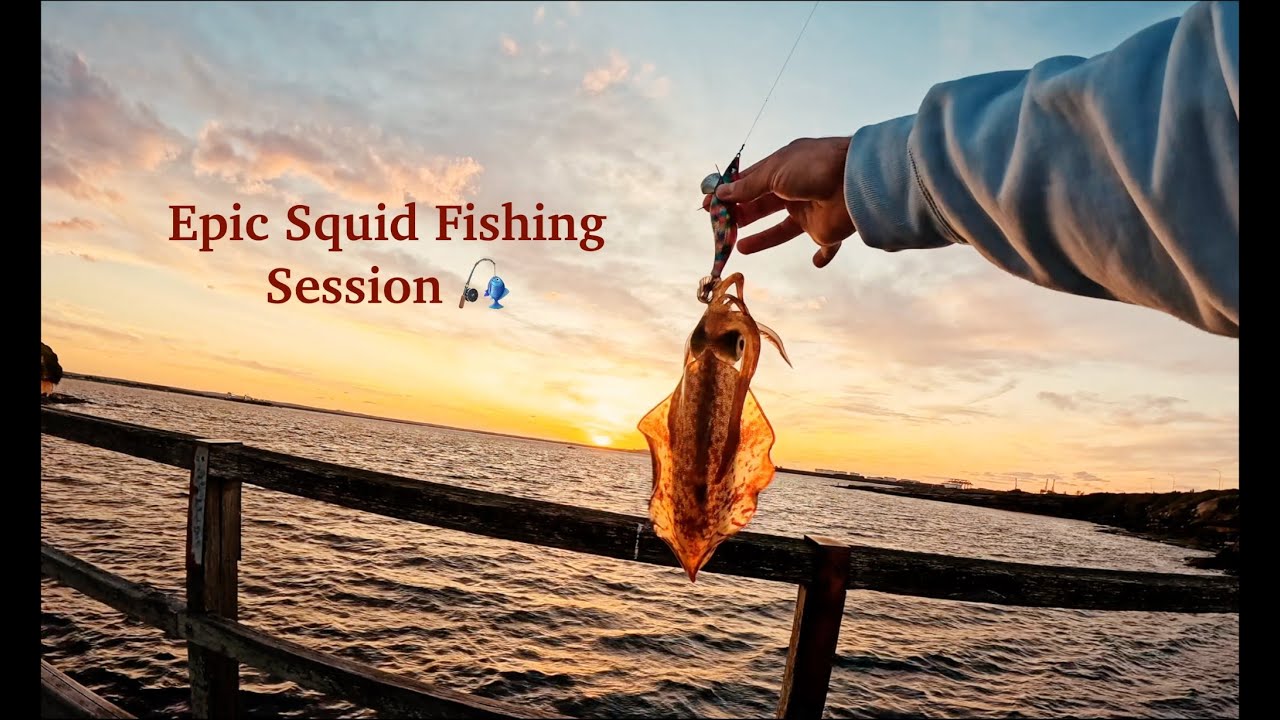 Ep. 1 Squid Fishing in Sydney, Australia (2 Calamari + 2 Arrow Squid) 🎣🦑