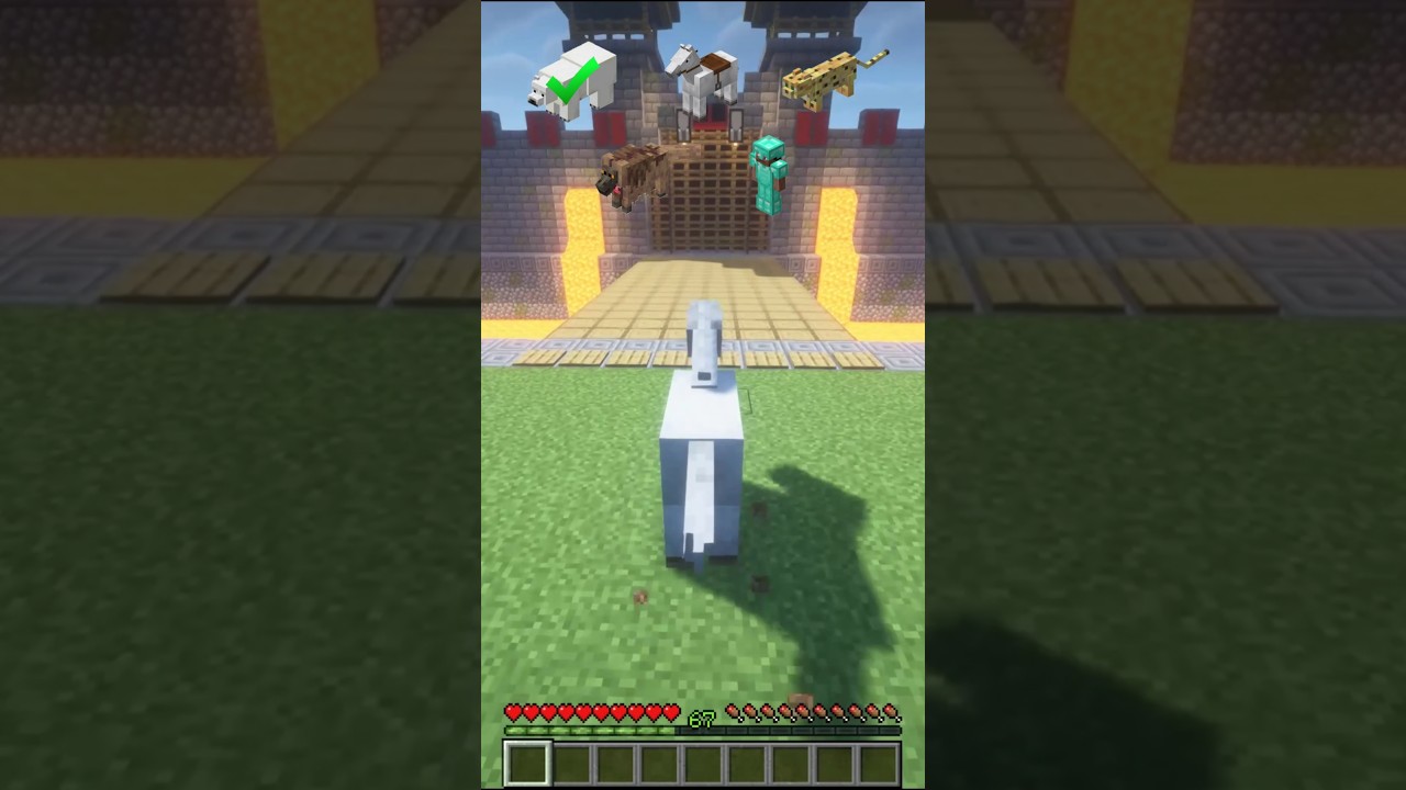 Minecraft mobs challenge