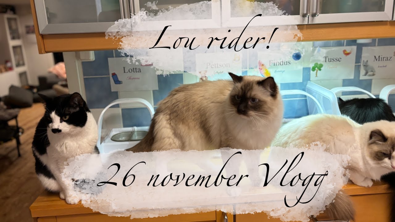 LOU RIDER! - VLOGG 14