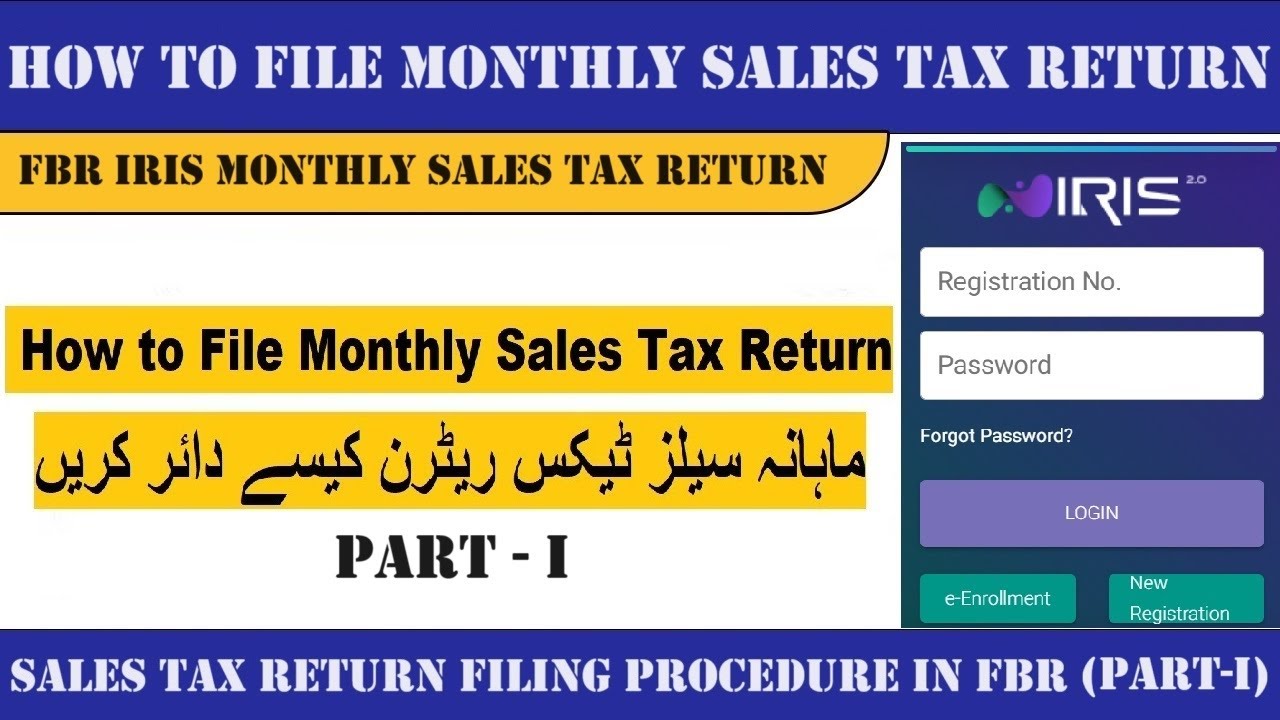 How to File Monthly Sales Tax Return in Pakistan 2024 (Part-I) I Sales Tax Return Filing Process