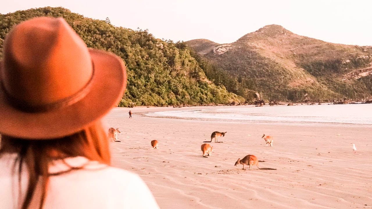 #10 SHARING THE BEACH WITH KANGAROOS | Cape Hillsborough