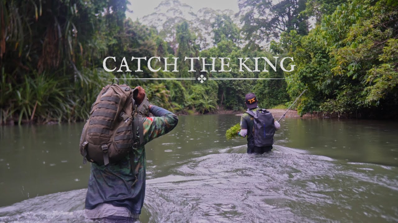 CATCH THE KING | Spot Tail Bass