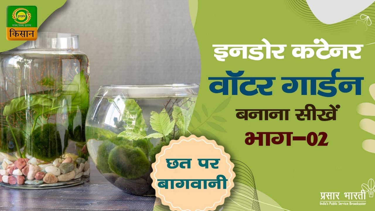 छत पर बागवानीविषय - How to make an Indoor water Garden (care and Growing)