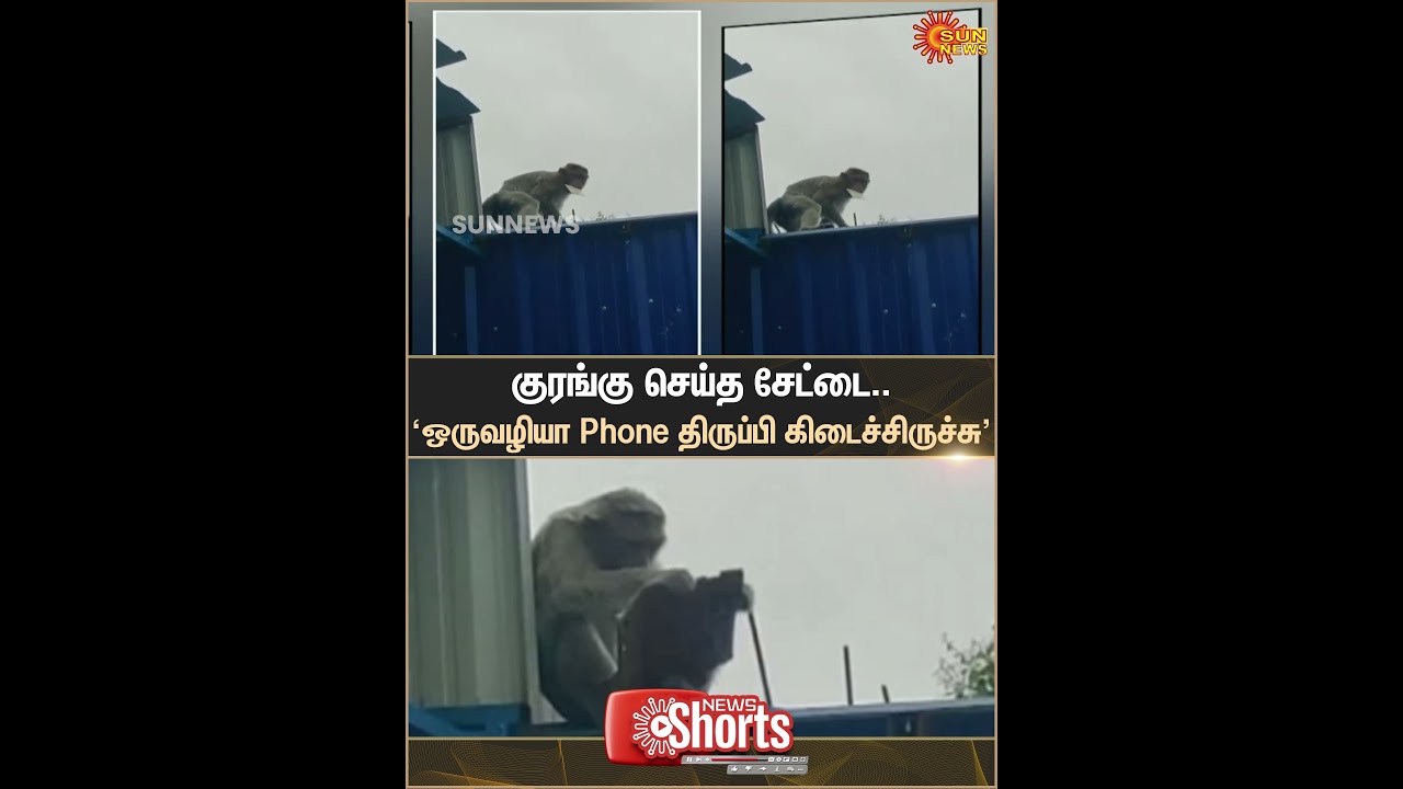 Monkey Mischief | Finally Phone Recovered | Talavady | Sun News