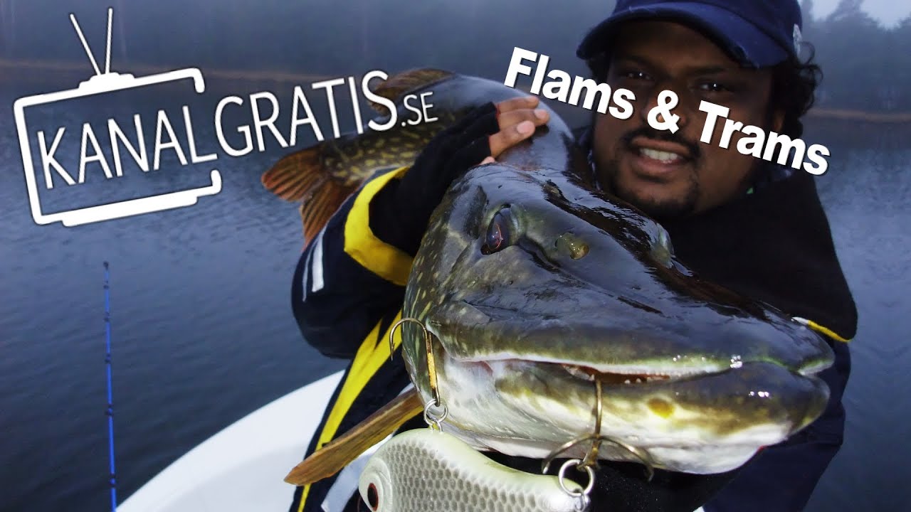 Flams & Trams - Originalet från 2009