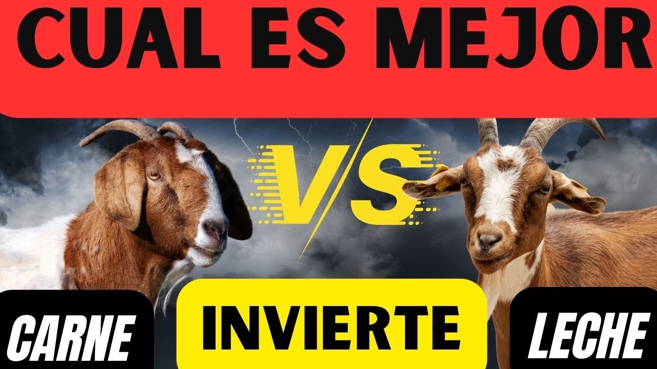 Granjas de Cabras: Rentabilidad Garantizada