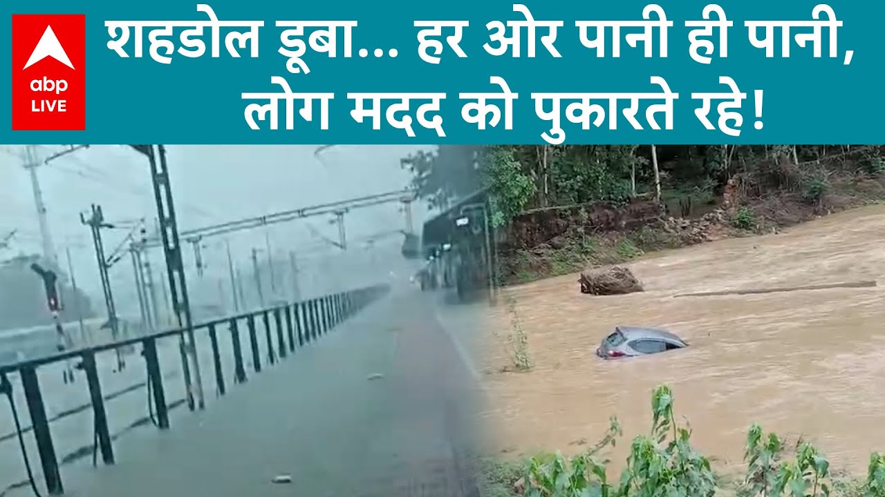 MP News: शहडोल में भारी बारिश का कहर, बाढ़ जैसे हालात, लोग त्राहिमाम | ABP LIVE