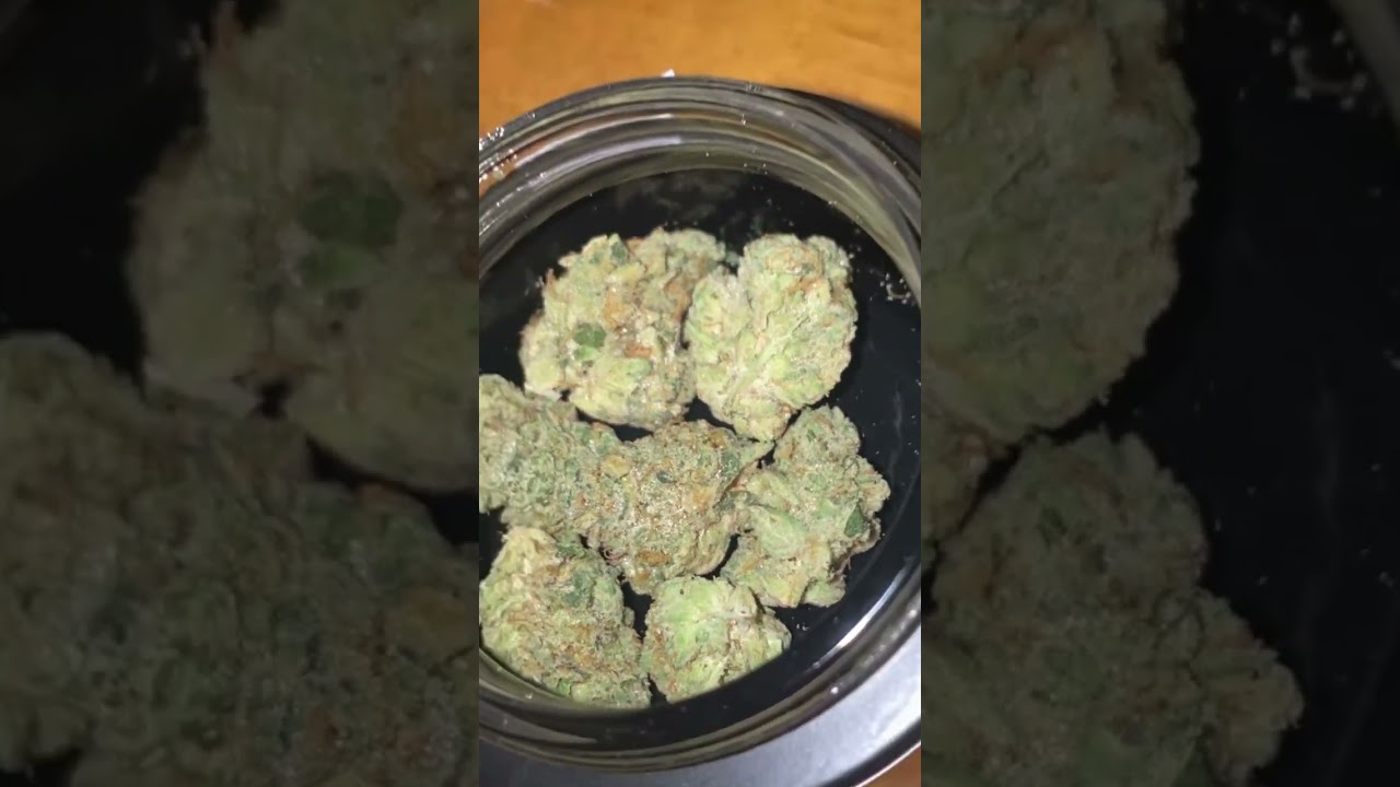 Animal Face | Rythm Cannabis 🤤