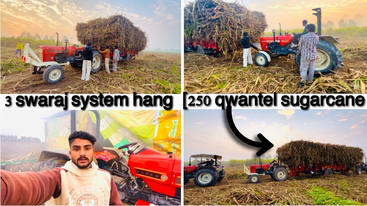 Swaraj power 250 qwantel sugarcane full loaded trolla😈Happy Tractor vlogs