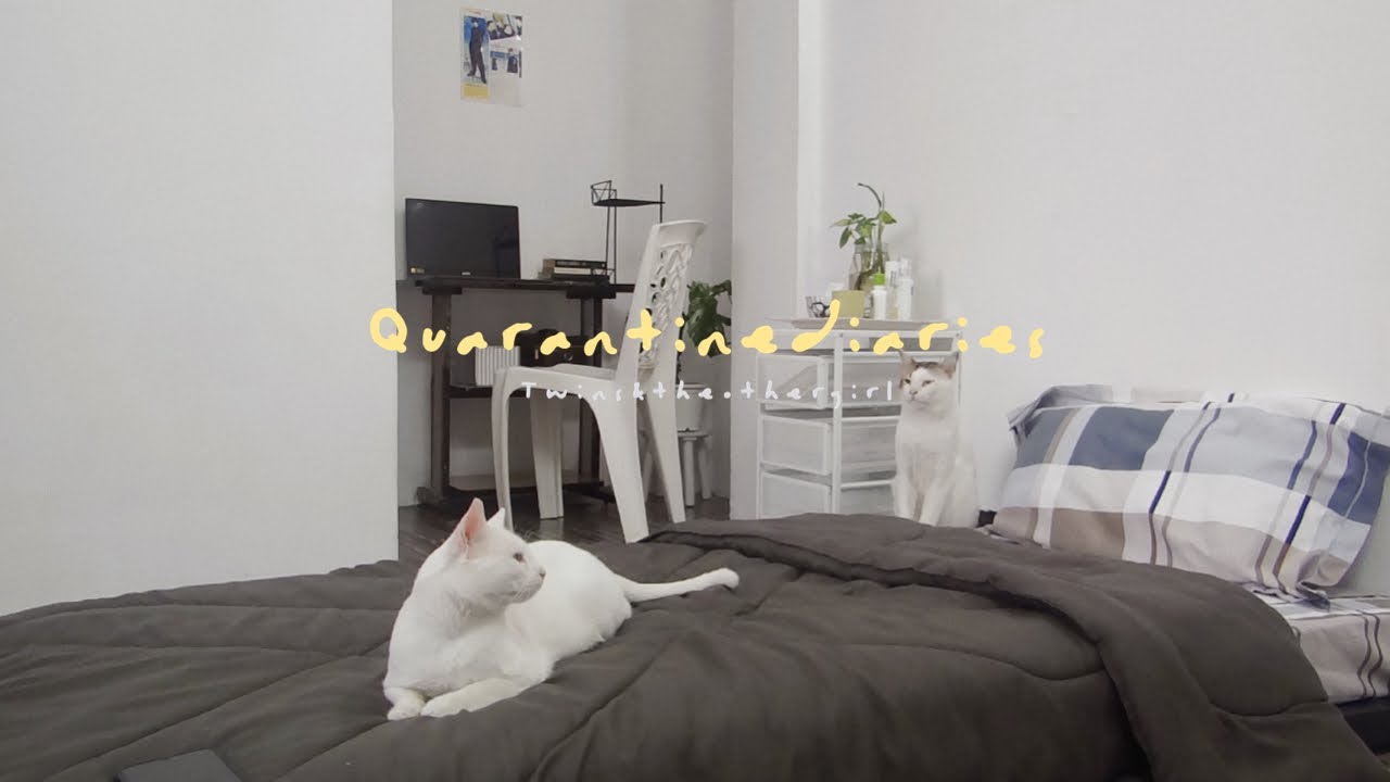 Quarantine Diaries | ROOM UPDATE PART 2