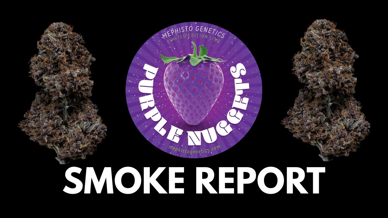 Отчет о дыме от Purple Nuggets
