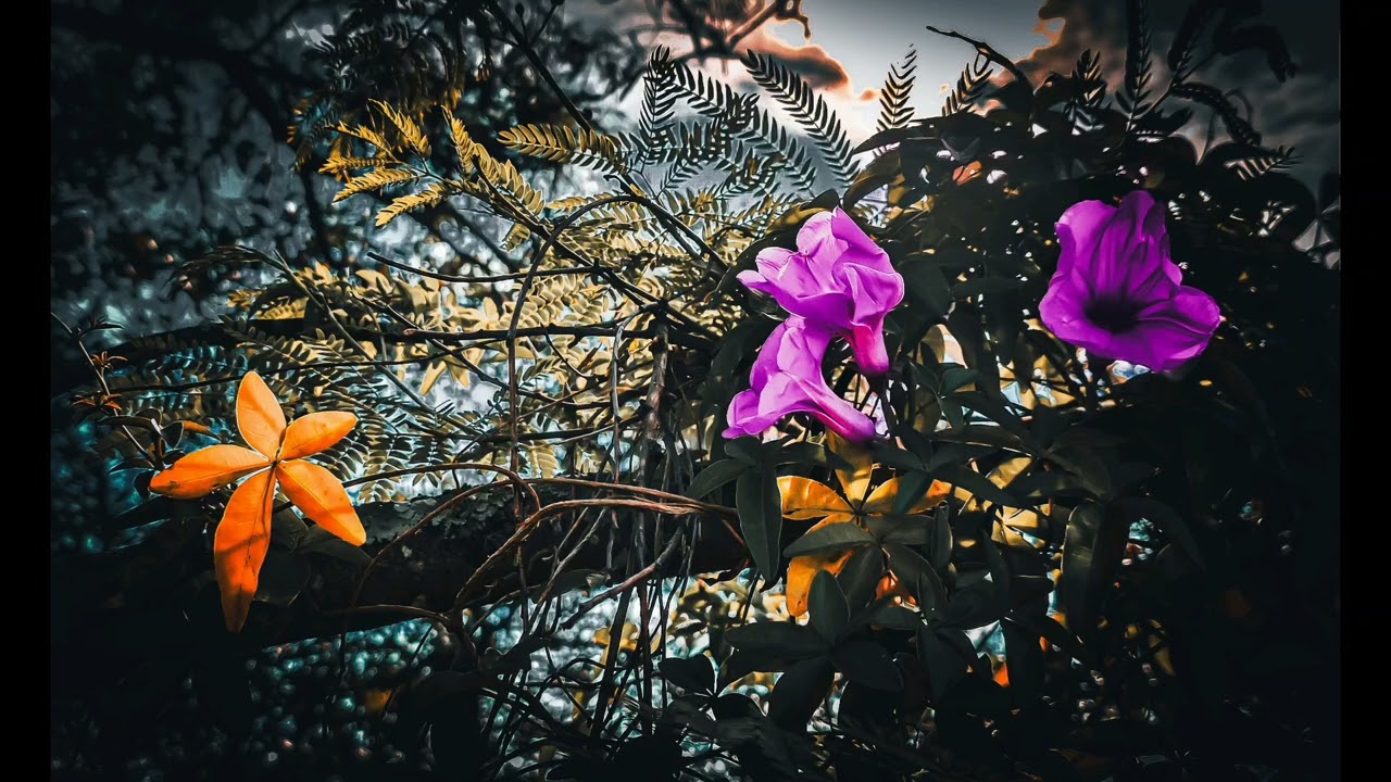 Imagens que Inspiram 7  - Quando a Luz Encontra as Sombras