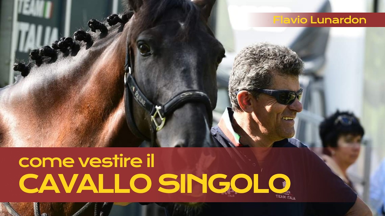 Come vestire il cavallo singolo - ATTACCHI