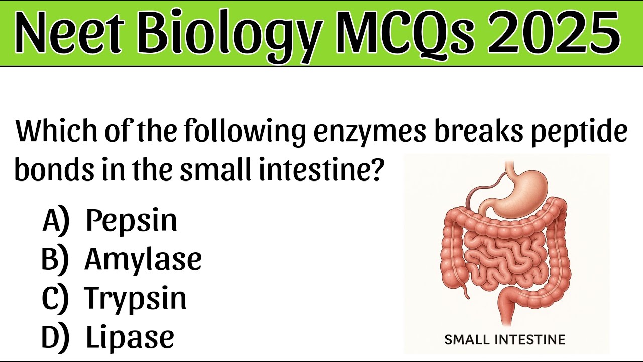 Neet Biology MCQs 2025 | Neet Biology MCQ Questions | Neet Mock Tests | Neet 2025