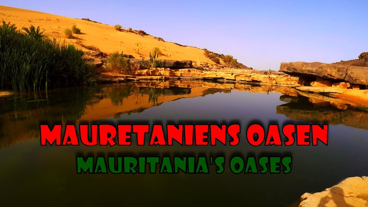 Tour nach Westafrika - Teil 6 - Mauretaniens Oase