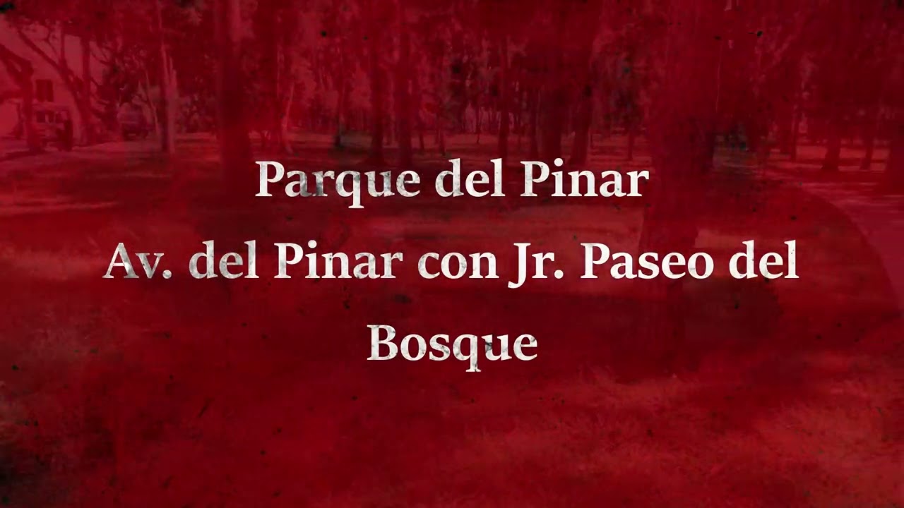 Hermosos Parques de San Borja - Lima