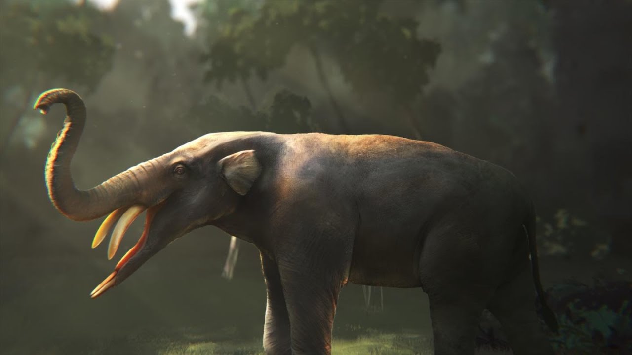 Amebelodontidae: The Shovel Tuskers