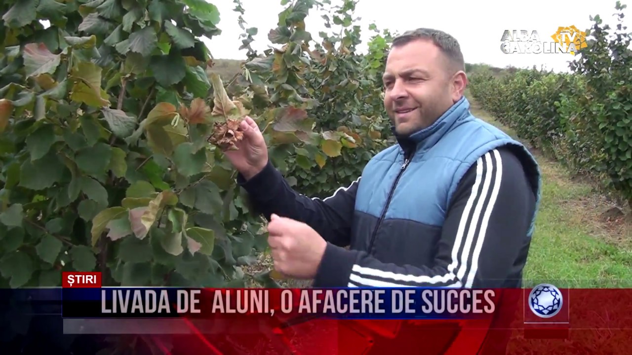 Livada de  ALUNI, o afacere de succes