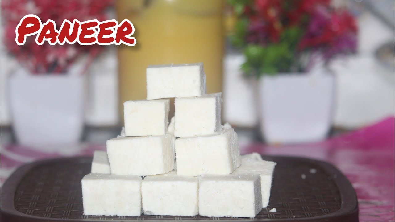 Paneer Recipe in tamil/Homemade Paneer