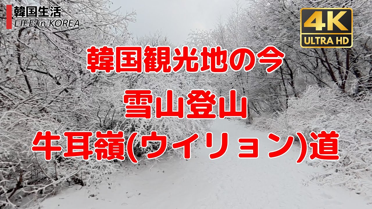 【韓国観光地の今/ソウル4K】韓国雪山登山/牛耳嶺(ウイリョン)道