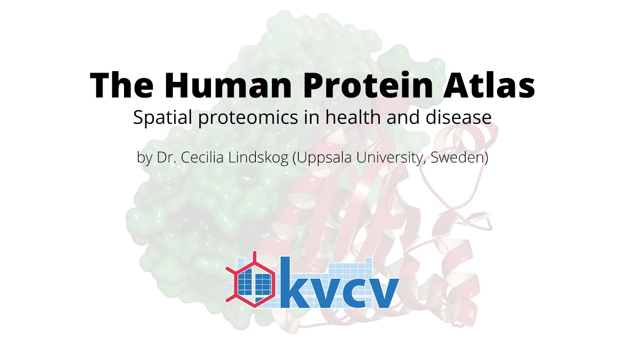 The Human Protein Atlas &ndash; Spatial proteomics in health and disease