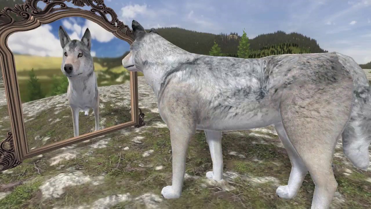WolfQuest 2.7: First Preview Video (October 2016)