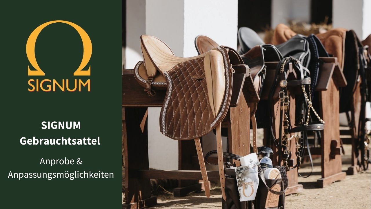 SIGNUM Gebrauchtsattel kaufen – Das musst du vorher wissen!