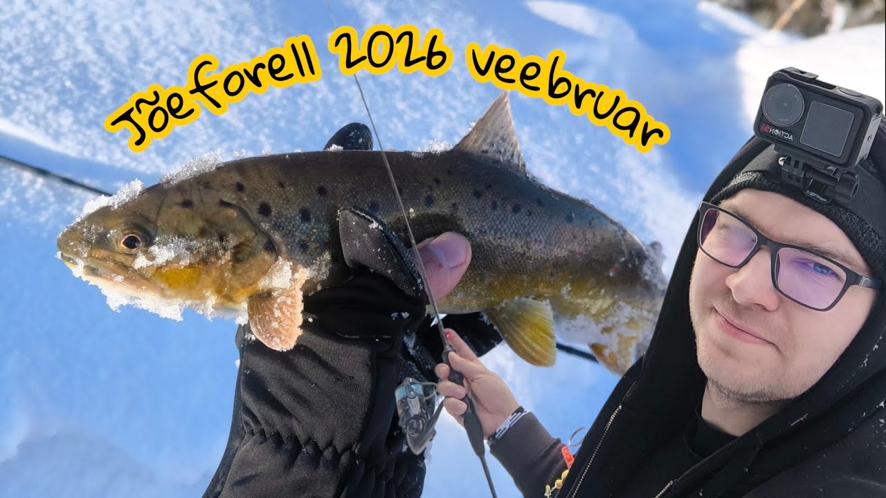 Jõeforelli hooaja avamine 2026 veebruar