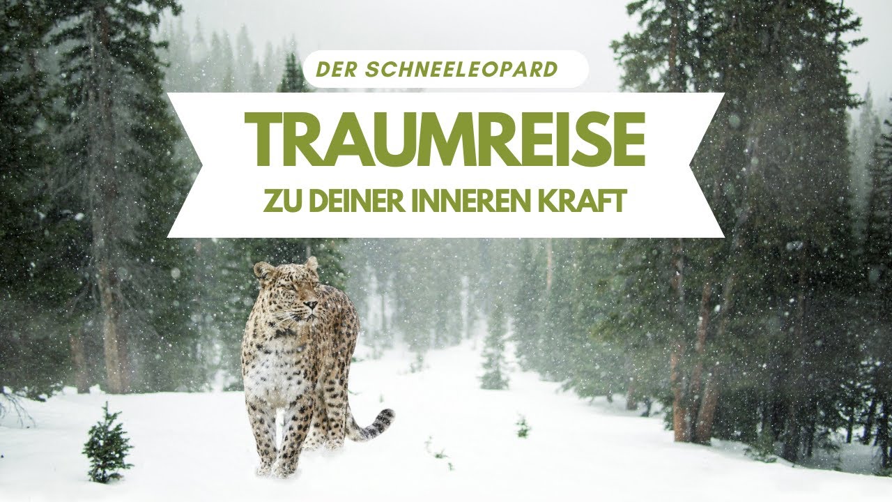 Der Schneeleopard - Eine Traumreise zu deiner Inneren Kraft (Meditation für Kinder und Erwachsene)