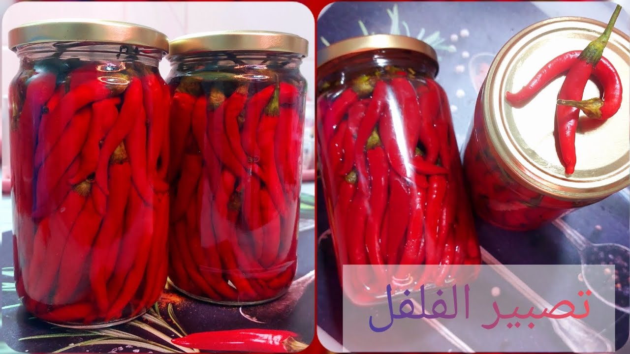 تصبير الفلفل على الطريقة التقليدية بدون مواد حافضة / فلفل مسير / فلفل مخلل/ فلفل مرقد / فلفل بر عبيد
